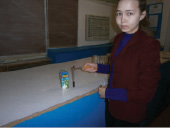 sam2a.tif