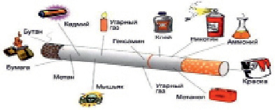 fizr5.tif