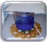 den8a.tif