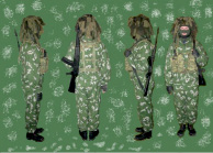 fr11.tif