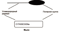 ris1_4.tif