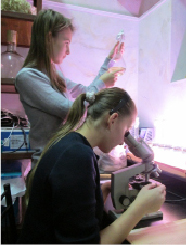 kv5.tiff