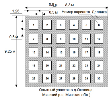 Схема полевого опыта это