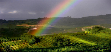 busl6.tif