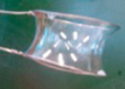 denisova_54.jpg