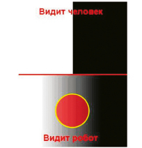 shukin_1.jpg
