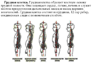 scsh1.tif