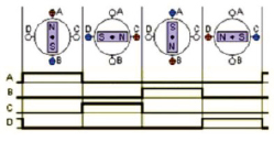 rach6.tif