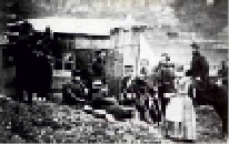 zav13.tif