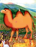 lidg2.tif