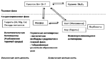 ynusS6.tif