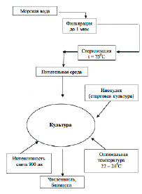 Заполни схему что выращивали крестьяне земледелие