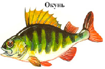 okun.tif
