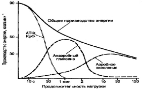 antipov.tif