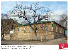 vas10.tif