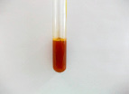 drugakov11.tiff