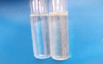 drugakov12.tiff