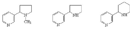 drugakov3.tiff