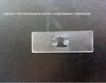 potanin3.tiff