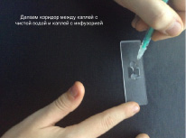 potanin4.tiff