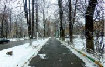 milov15.tif