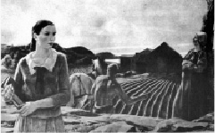 koloshko-2.tif