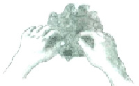popova-2.tif