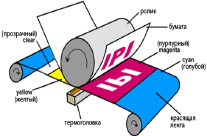 spic-11.tif