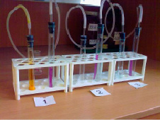 korob-1.tif