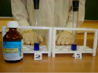 korob-4.tif