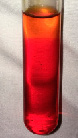 sokol-1.tif