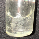 sokol-3.tif