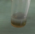 sokol-4.tif