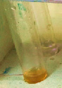 sokol-6.tif