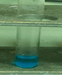 sokol-7.tif