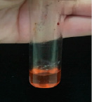 sokol-9.tif