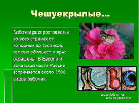 diachkov-4.tif