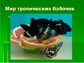 diachkov-8.tif