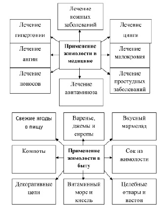 Фитохимический анализ презентация