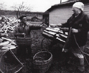 sedova-6.tif