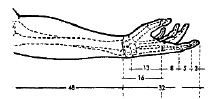 kruglov-23.tif