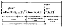 vasil-5.tif