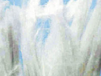 kurg-2.tif
