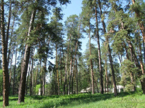 kudas-30.tif