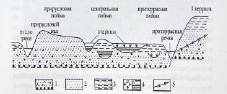 timir-2.tif
