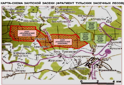 Карта лазарево щекинский район