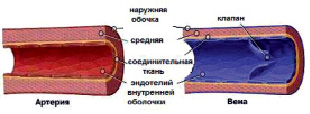 gorh1.tif