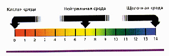 bor-10.tif