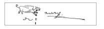 grum-1.tif