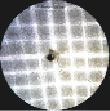 shev-597.tif
